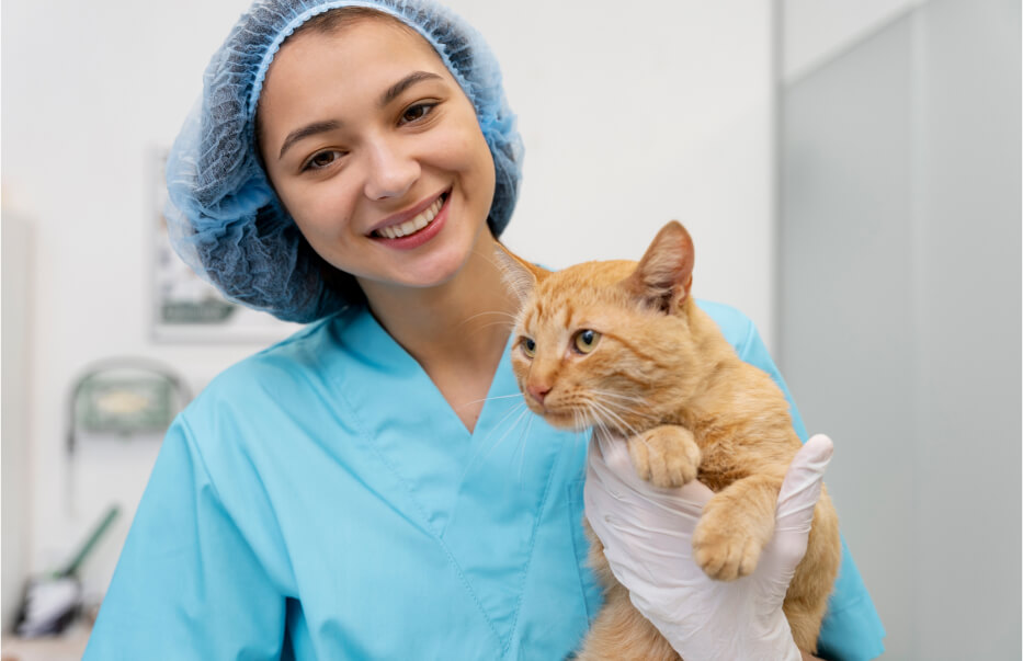 3 Signs It’s Time for the First Pets Dental Cleaning